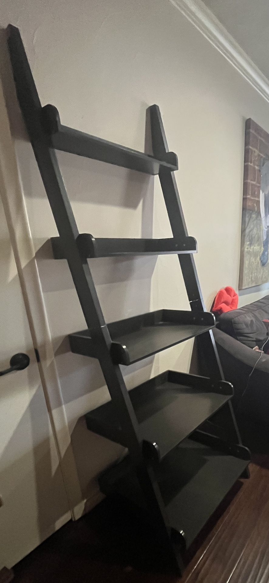 5 Tier Ladder Shelf