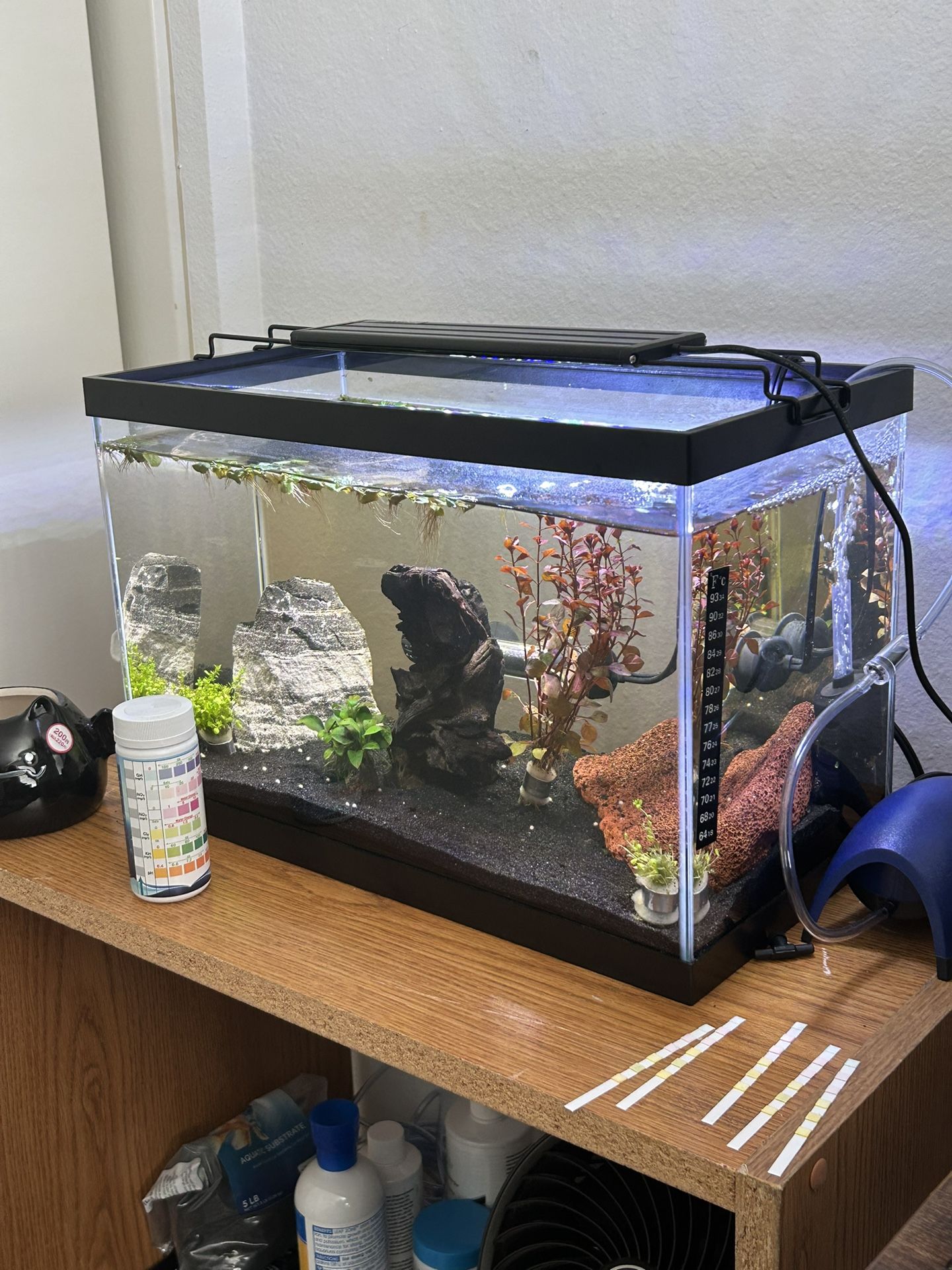 5 Gallon Fish Tank
