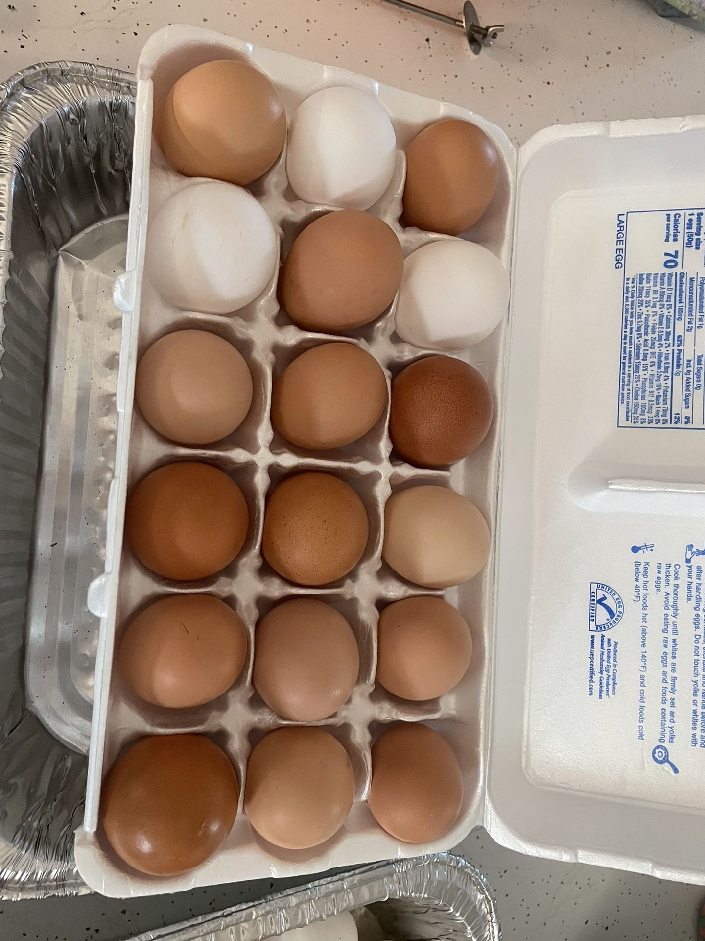 Fresh Eggs $2.00 A Dozen