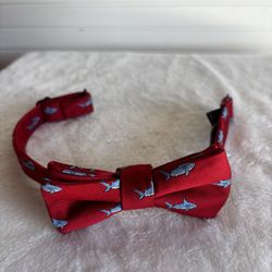 Baby Bow-Tie