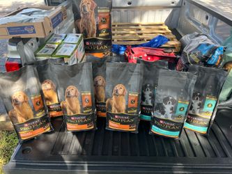 Dog food