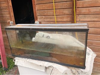 Aquarium