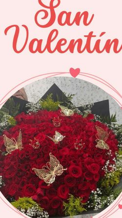 💓🌷🌺💐 Excelentes promociones todos los días 💓🌷🌺💐