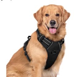 Dog Harness XL