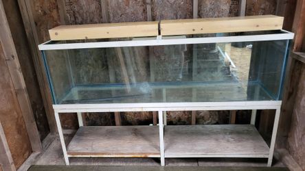 Free 120 gallon fish aquarium