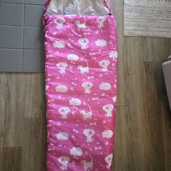 Like New! Beautiful, Girls Sleeping Bag!