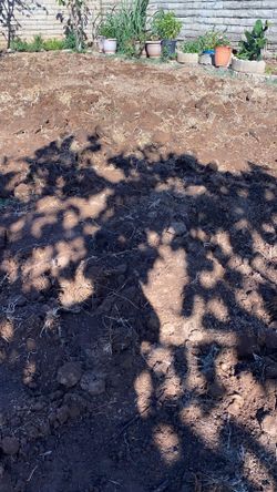 Free Dirt