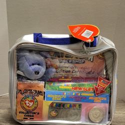 Ty Beanie Babies Official Club Silver Bag