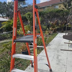 Platform ladder