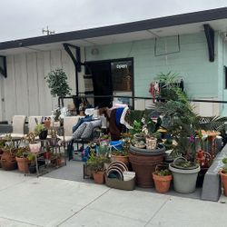 Thrift Store