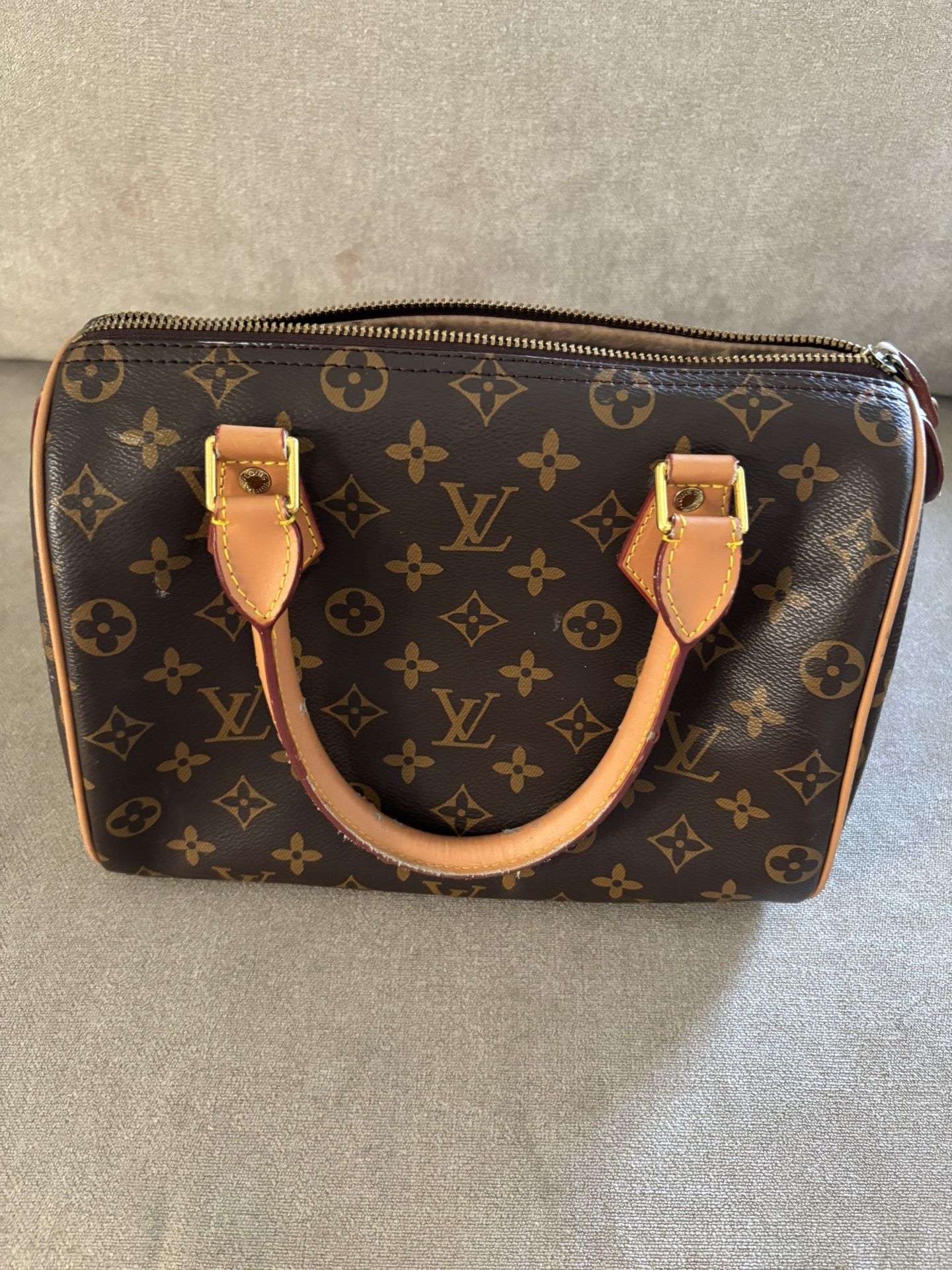 Louis Vuitton Hand Bag