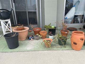 ON HOLD planters pots and succulents various sizes
