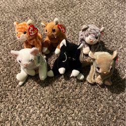 Ty Cat Collection