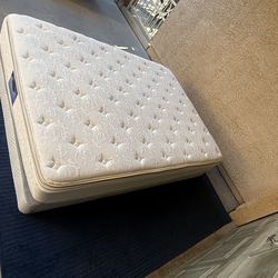 2 Queen Bed Mattresses & Box Springs (Delivery Available)
