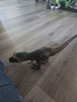 Dinosaur
