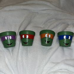 Ninja Turtle Flower Pots 