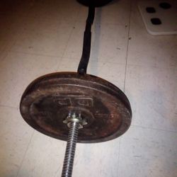 weight bar