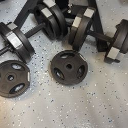 Weights 