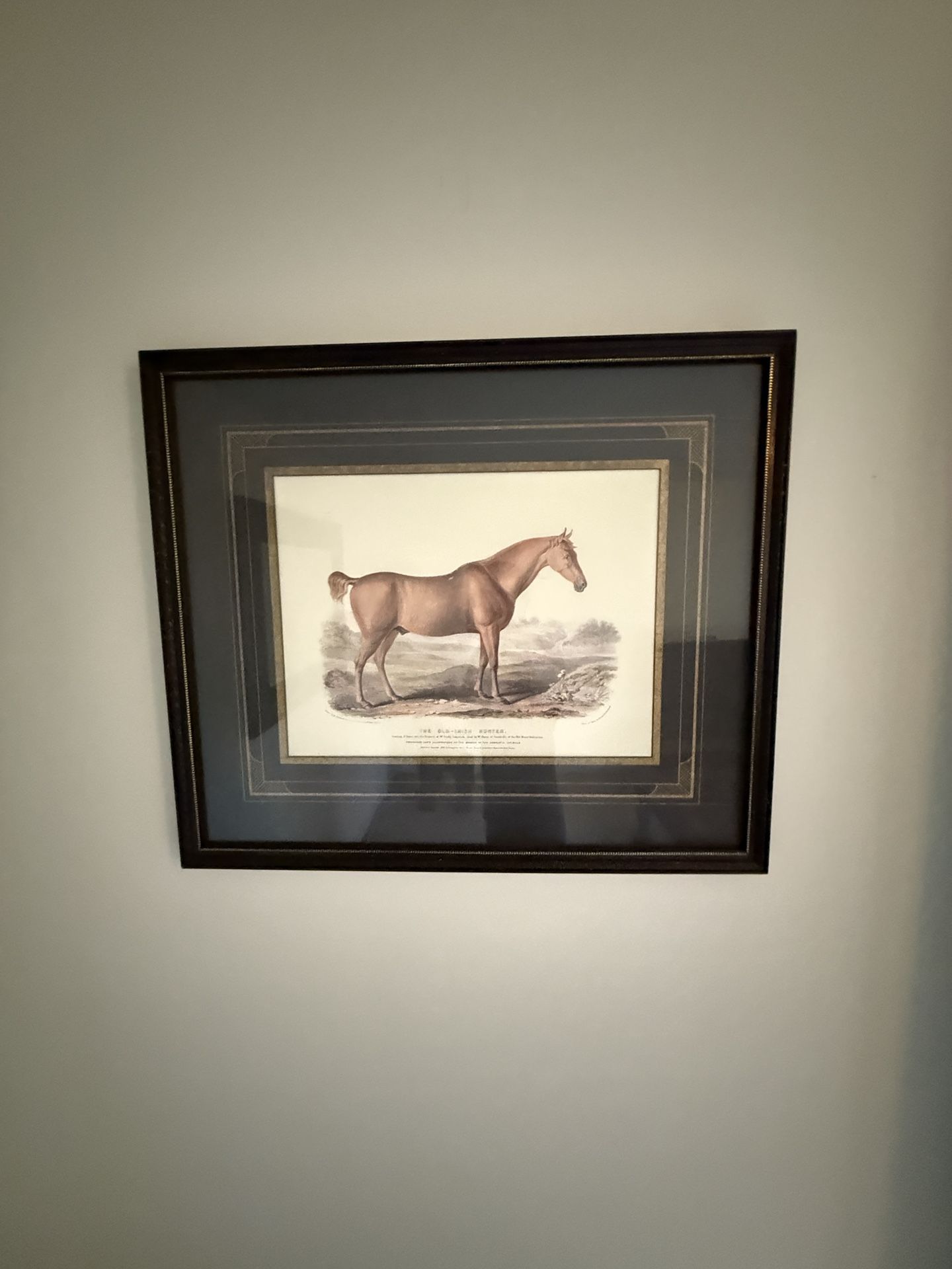 The Old Irish Hunter by Franklin Picture Company