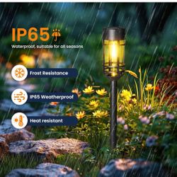 Solar Pathway  Lights  8 Pack 
