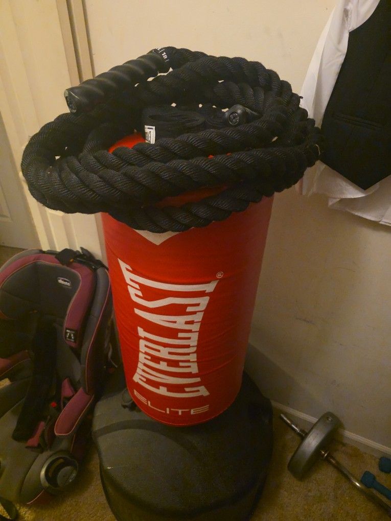 Everlast punching bag with weighted ropes
