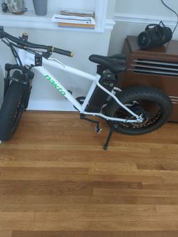 Electric E-bike