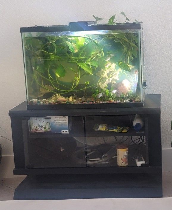 Aquarium + Stand  + Fish + Many Accessories 