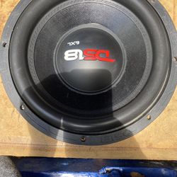 12” Subwoofer 