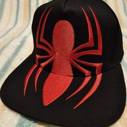 Spiderman Hat