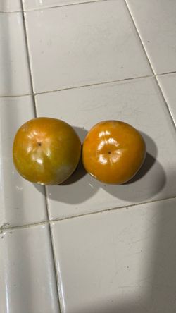 Persimmons