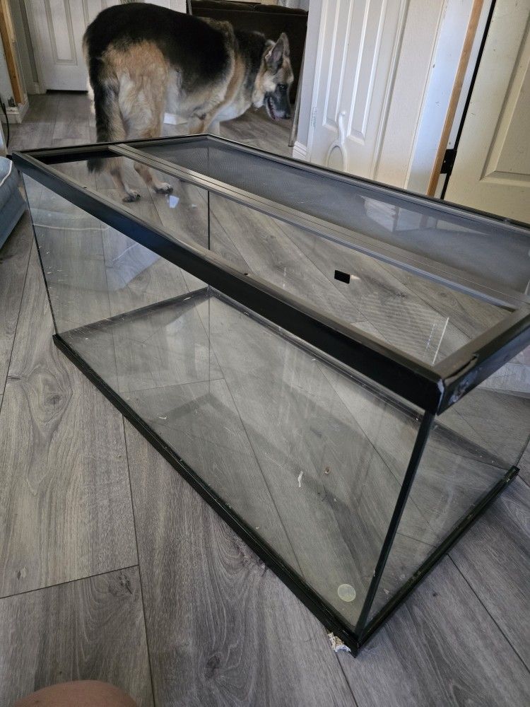 Reptile Enclosure