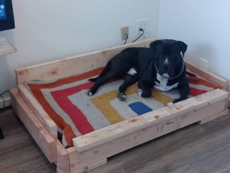 Extra Large Dog Bed