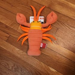 Injoya Mental Enrichment Snuffle Toy