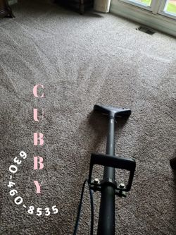 Carpet cleaner