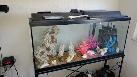 Large 55 gallon fish tank.