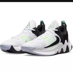 Nike Giannis Immortality 2 Basketball Shoes
