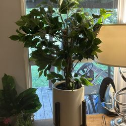 Fake Plants