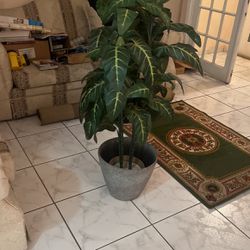 Fake Modern Plant