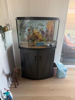 Fish tank