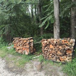 Firewood For Sale 
