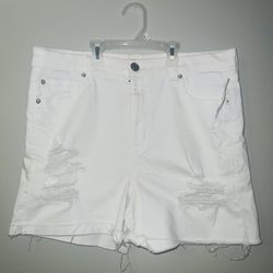 Women’s Shorts 