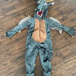 5T Dragon Costume 