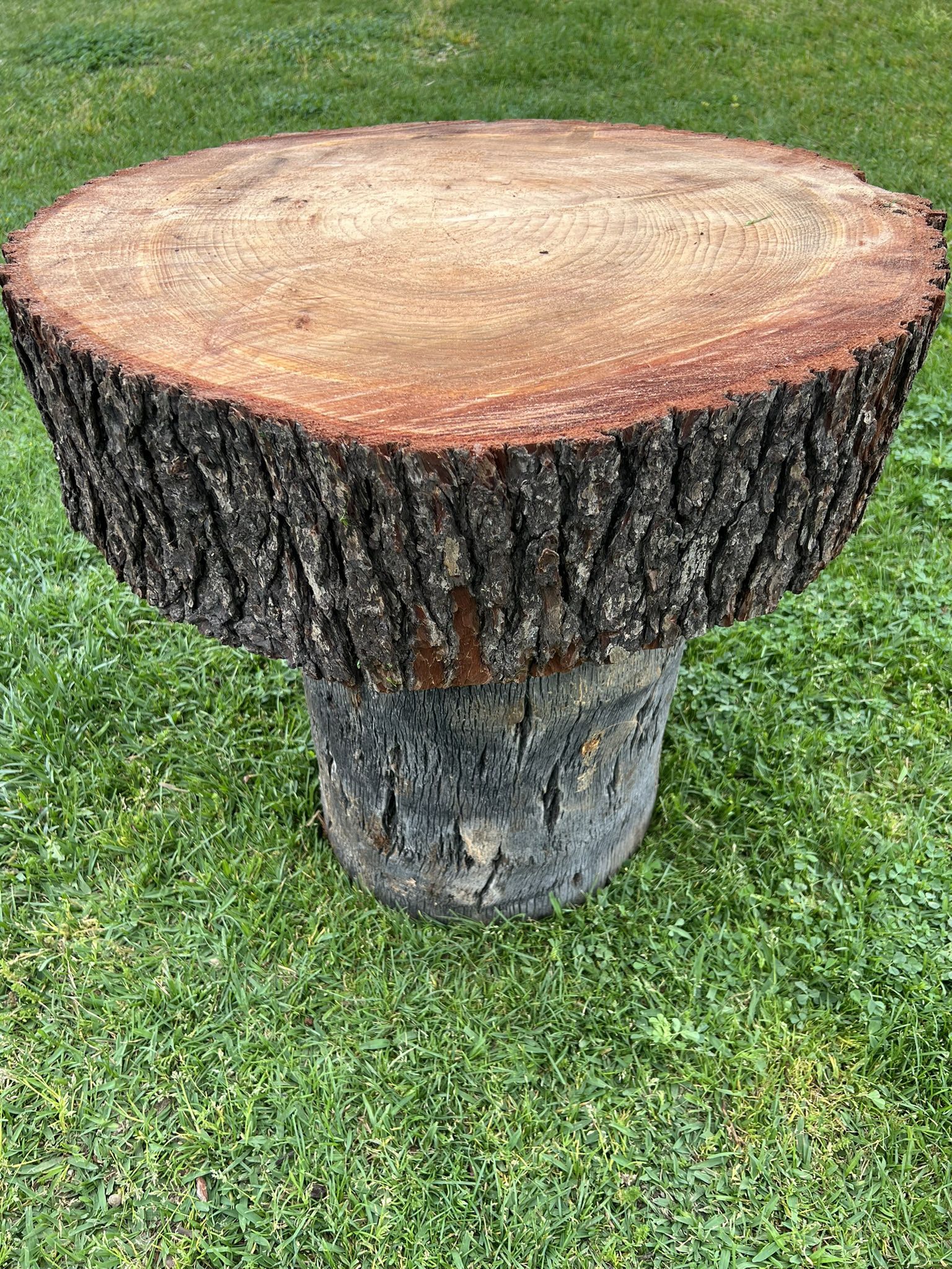 Rustic Wood Table (Coffee Table)