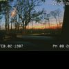 VlogsByTori