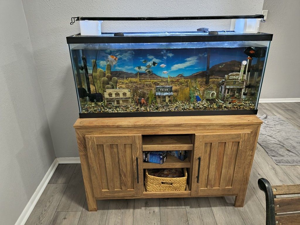 55 Gallon Aquarium - With Fish And Stand