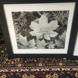 Ansel Adams Large Framed Matters AE Prints