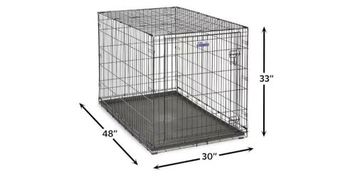 XL crate and bed