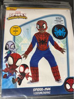 Spider Man costume