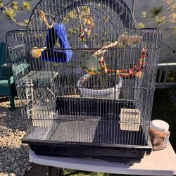 Bird Cage