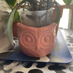 Owl Pot